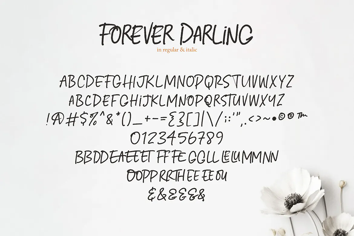 纹理斜体的英文有机手写字体 - Forever Darling 设计字体 第6张