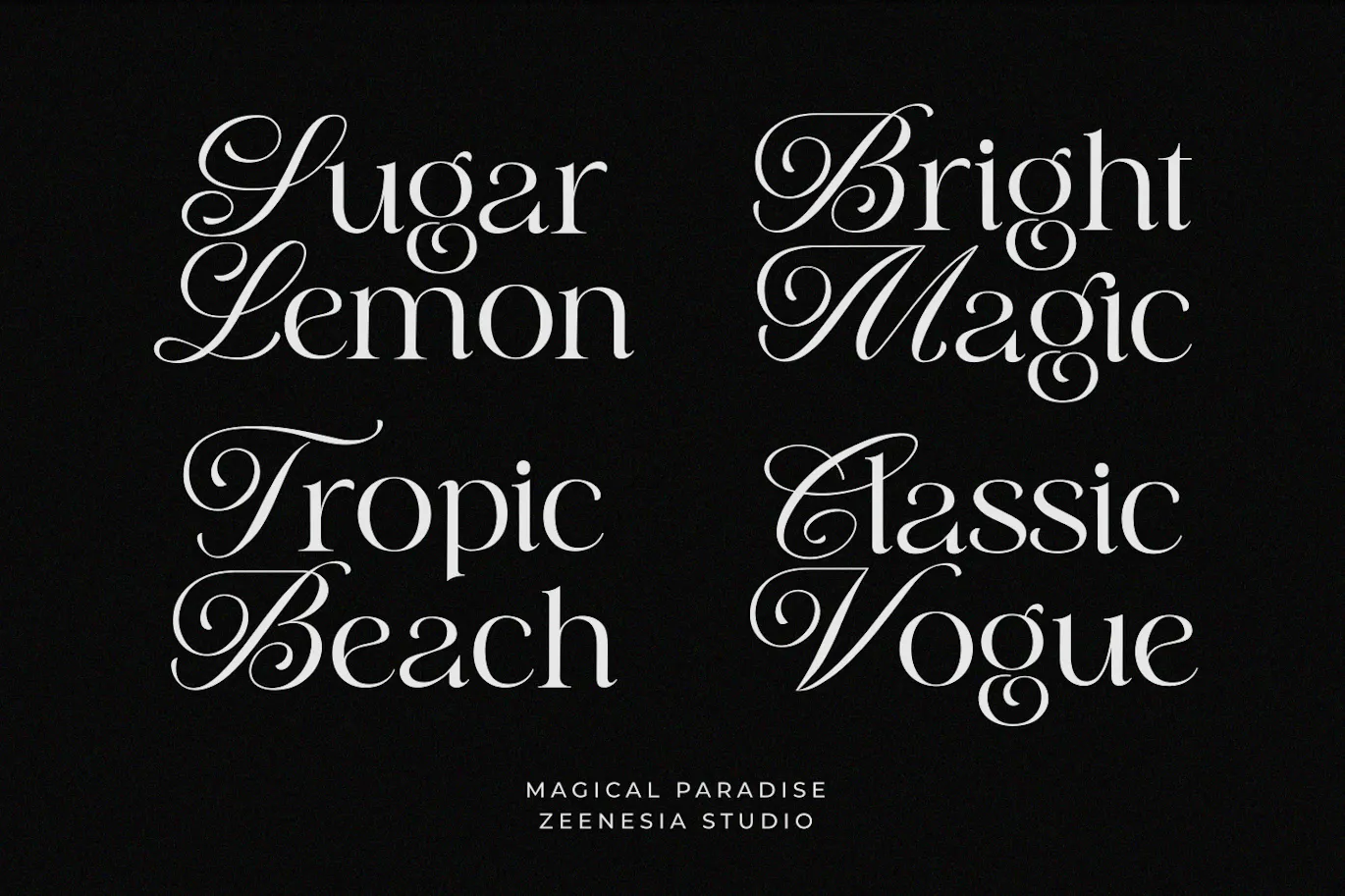 衬线与花体风格结合的现代风标题字体 - Magical Paradise 设计字体 第2张