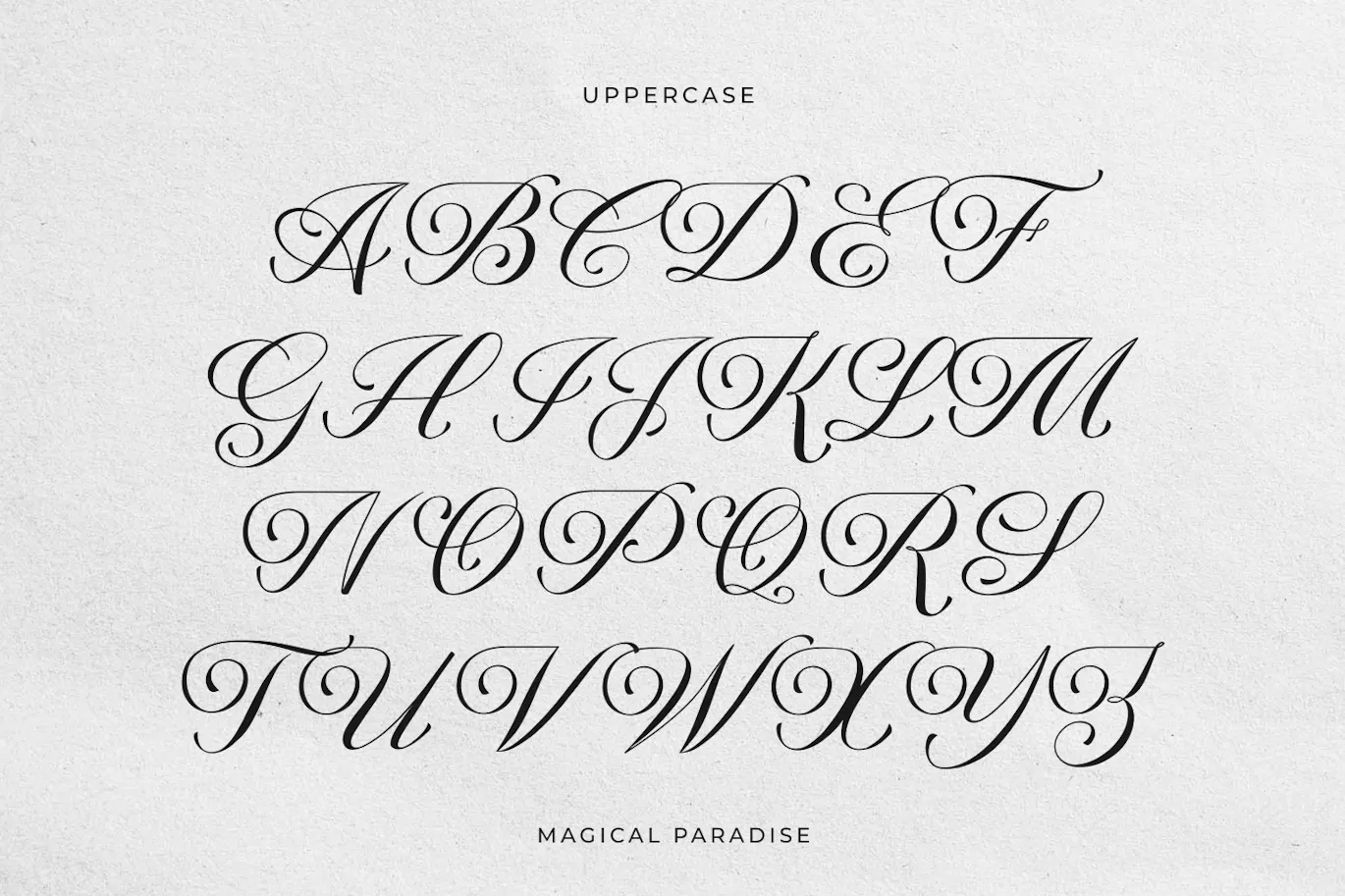 衬线与花体风格结合的现代风标题字体 - Magical Paradise 设计字体 第6张