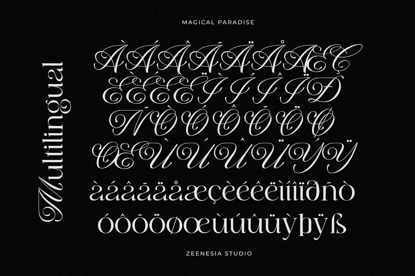 衬线与花体风格结合的现代风标题字体 - Magical Paradise 设计字体 第11张