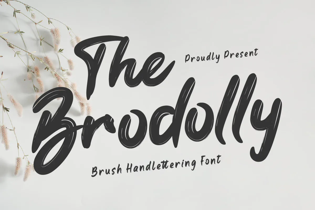 休闲优雅的英文手写字体 the Brodolly - Brush Handwritten Font 设计字体 第1张