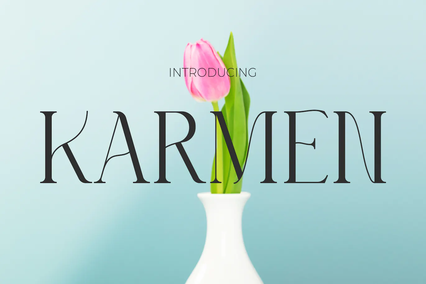 优雅线条与粗线条结合的现代英文衬线字体 - Karmen 设计字体 第1张