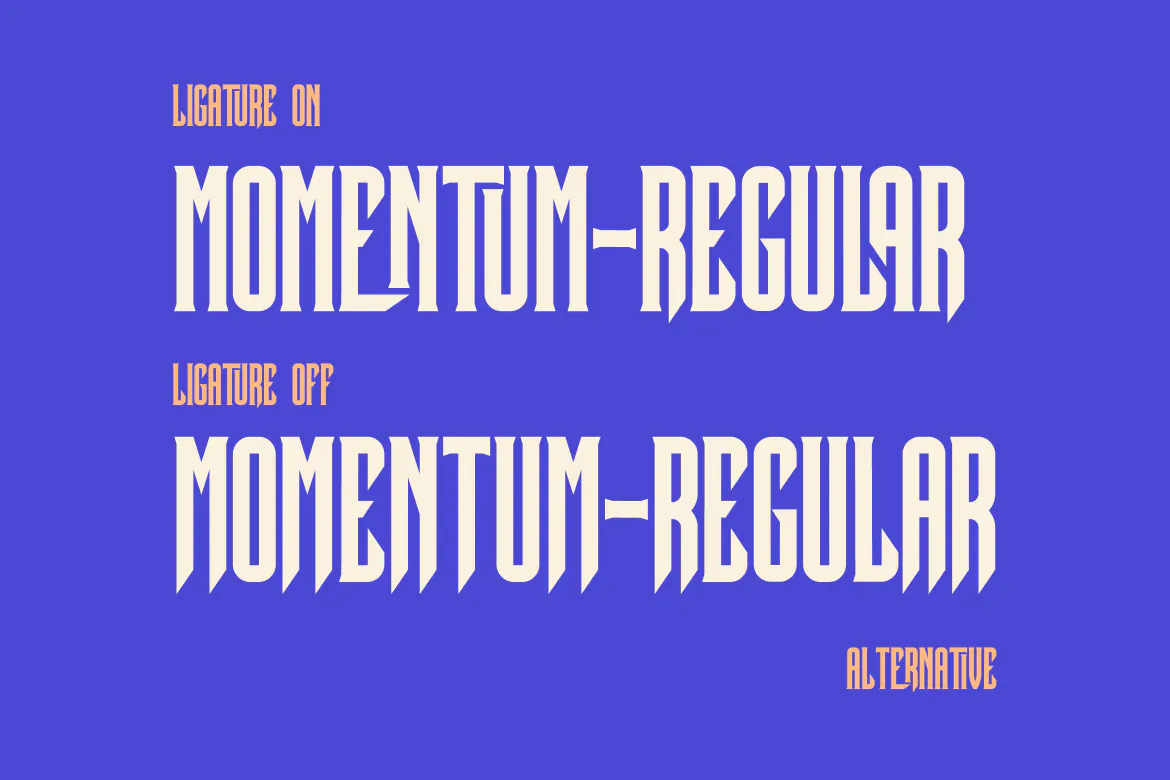 现代风格的英文衬线Condensed字体 - Momentum 设计字体 第8张