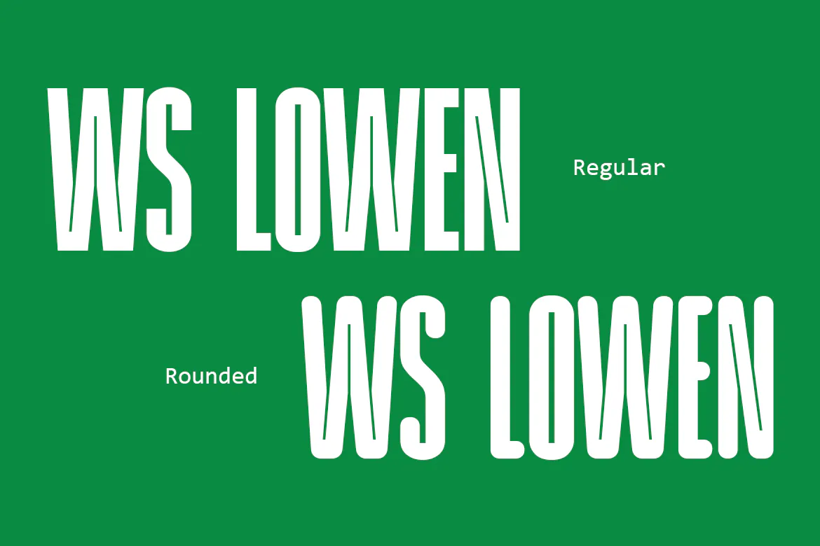 迷人的瘦长窄体英文圆体字体 - WS Lowen 设计字体 第9张