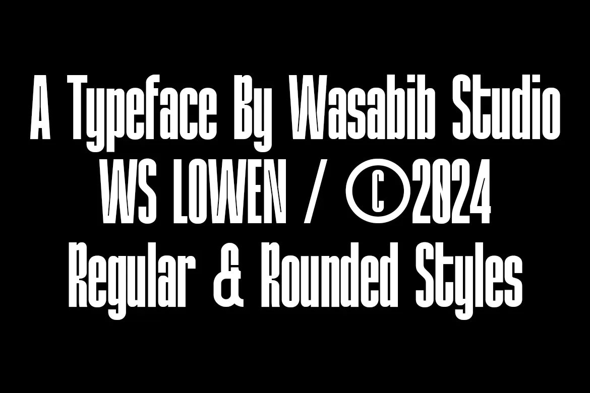 迷人的瘦长窄体英文圆体字体 - WS Lowen 设计字体 第5张