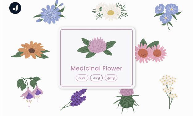 药用花卉矢量插画 Medicinal Flower Illustration