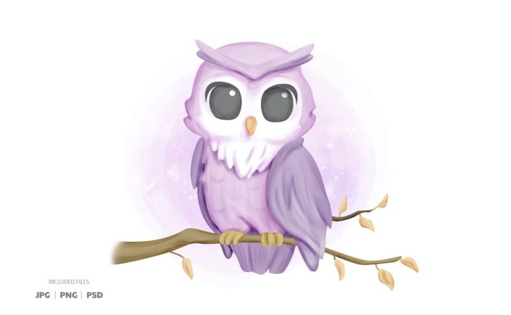 可爱的猫头鹰插画素材 Cute Owl