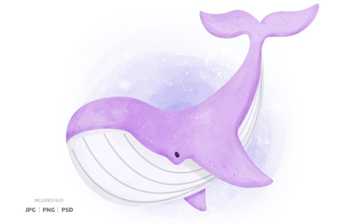 异想天开的鲸鱼矢量图形素材 Whimsical Whale