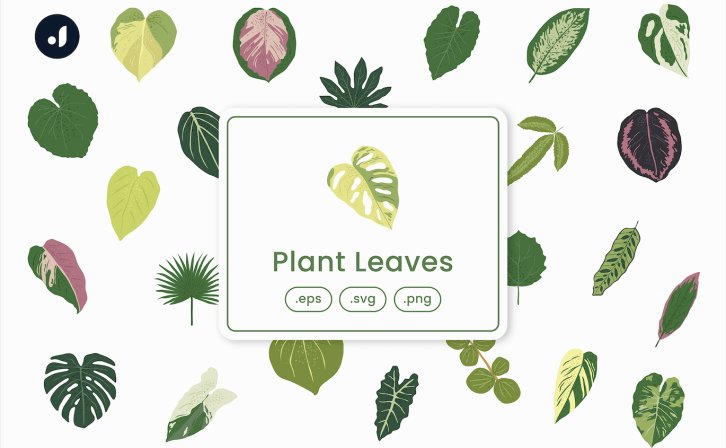 植物叶子矢量插画 Plant Leaves Illustration