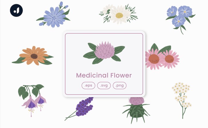 药用花卉矢量插画 Medicinal Flower Illustration