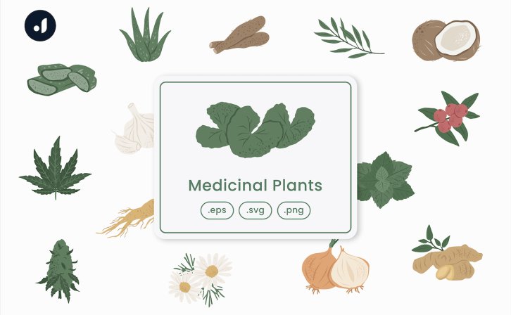 药用植物矢量插画 Medicinal Plants Illustration