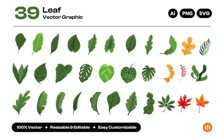 不同叶子矢量图案设计素材 Vector collection of different leaves