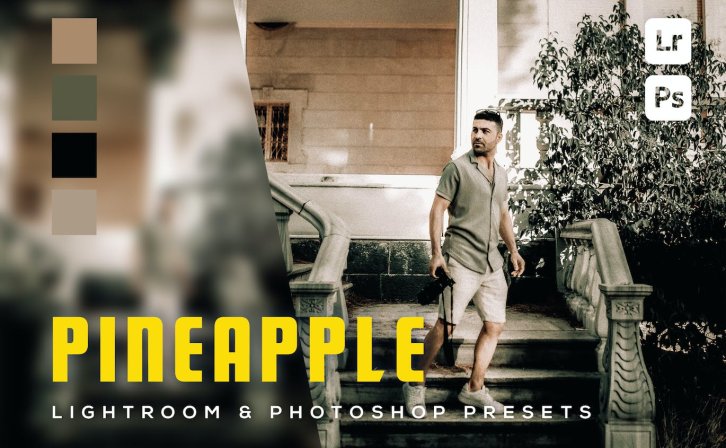 6个生活系列照片Lightroom和Photoshop预设 6 Pineapple Lightroom and Photoshop Presets