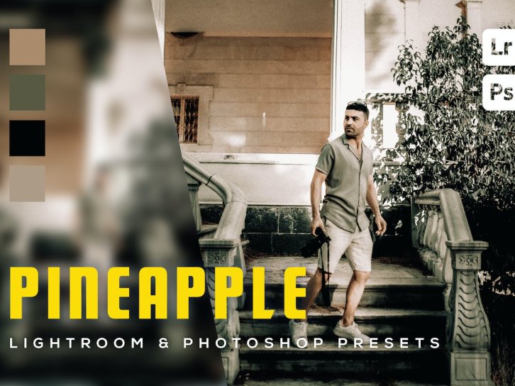 6个生活系列照片Lightroom和Photoshop预设 6 Pineapple Lightroom and Photoshop Presets